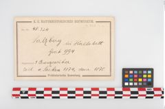 Foto von Bronzesiebgefäß (NHMW-PRAE-048324)